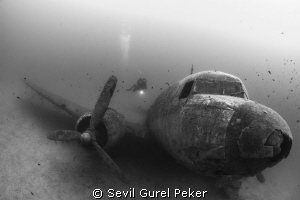 Plane wreck, Depth 20 meters, No strobe, by Sevil Gurel Peker 